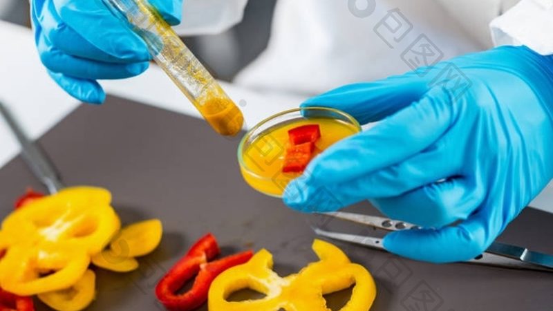 智能食材配送系统：价格背后的考量因素**